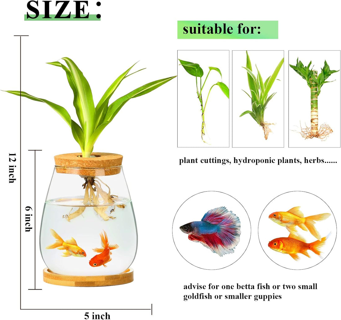 Desktop Fish Bowl Clear Glass Small Fish Tank with Wood Lid