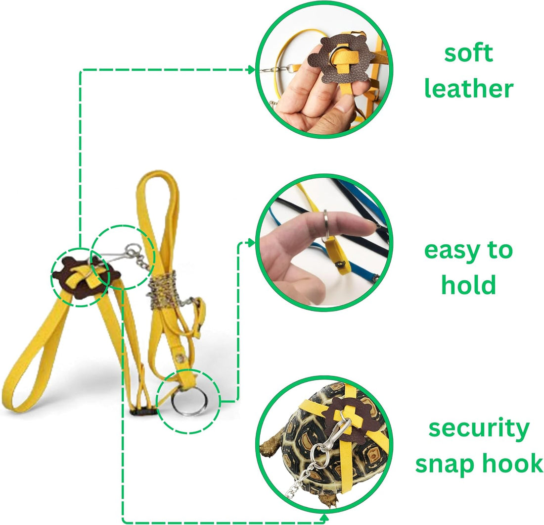 Adjustable Tortoise Leash and Funny Skateboard Set