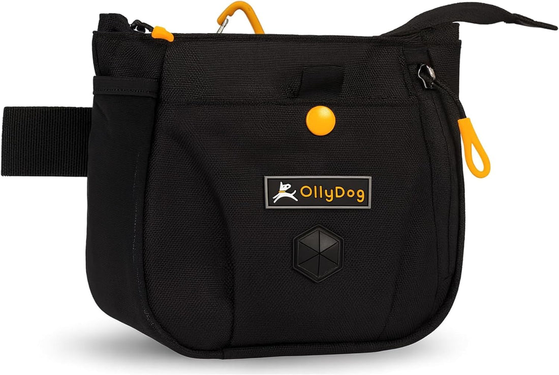 OllyDog Backcountry Day Bag | Dog Training Treat Pouch