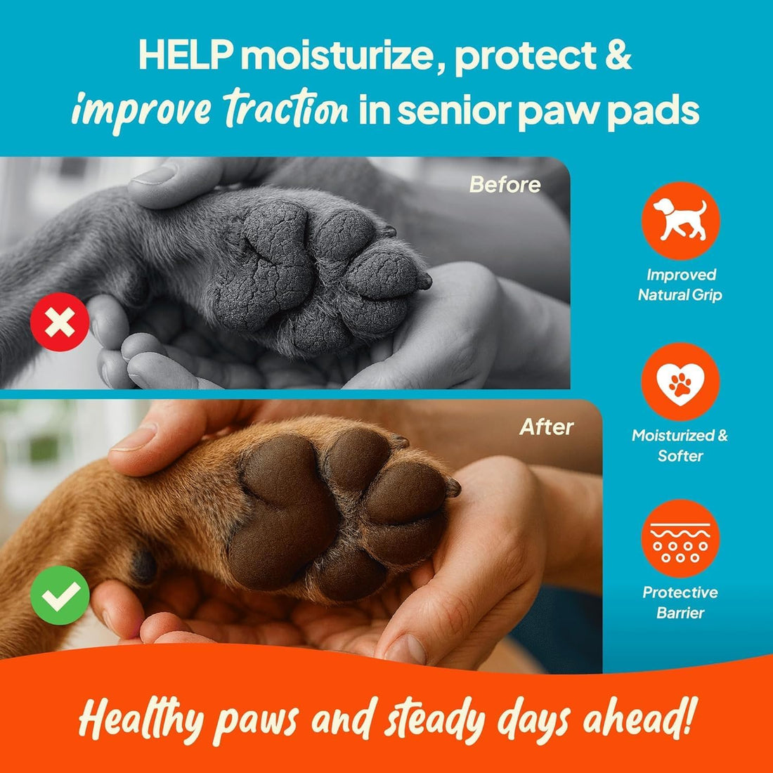 Steady Paws 3-in-1 Paw Balm for Dogs