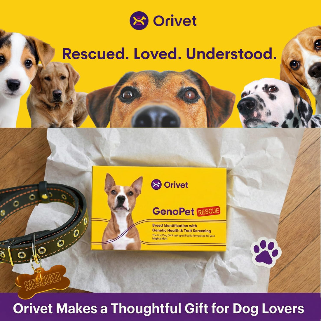 ORIVET GenoPet Dog DNA Test, 365+ Breeds, Health, Ancestry