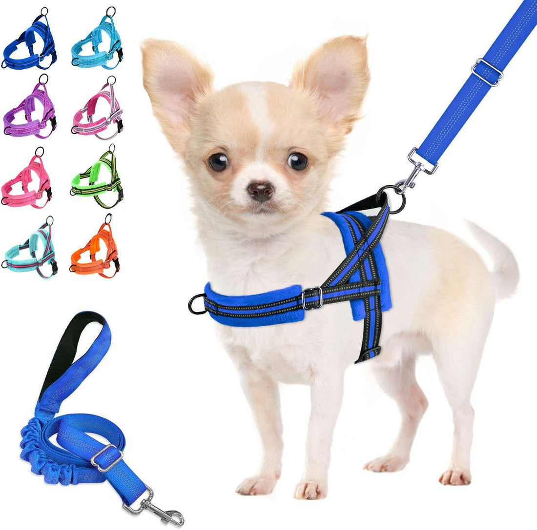 Lukovee Small Dog Harness and Leash Set, No Pull Soft Padded