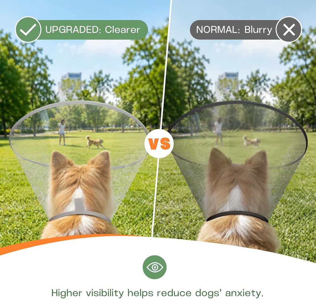 Dog Cone Collar for Recovery