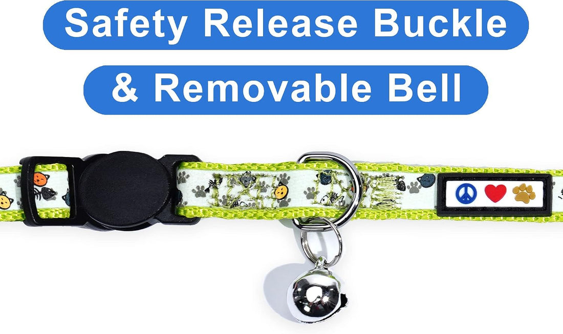Pawtitas Glow in the Dark Cat Collar with Breakaway Safety Buckle