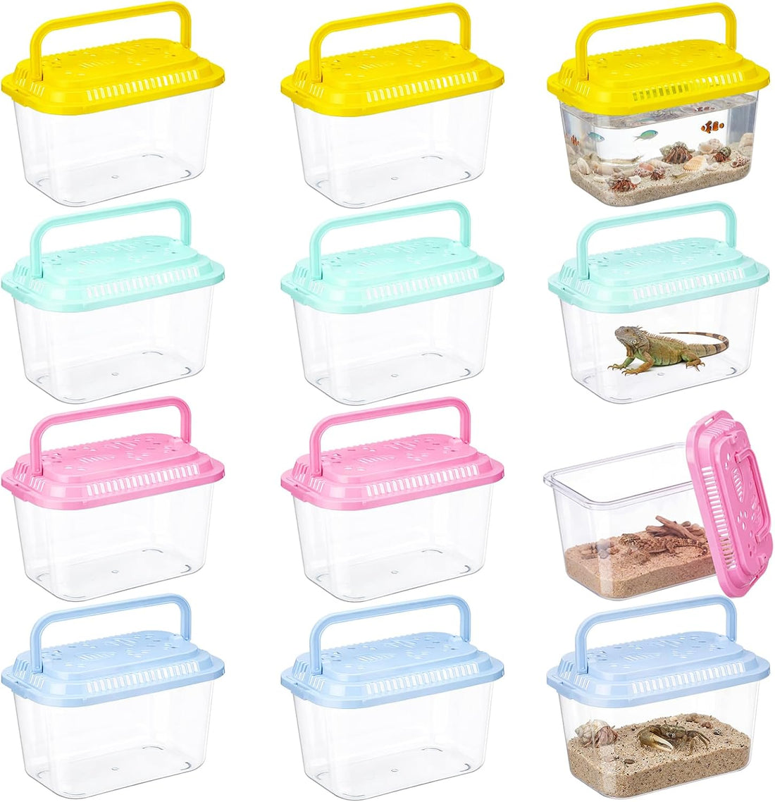 Leinuosen 12 Pcs Small Fish Tank Bulk Plastic Reptile Terrariums
