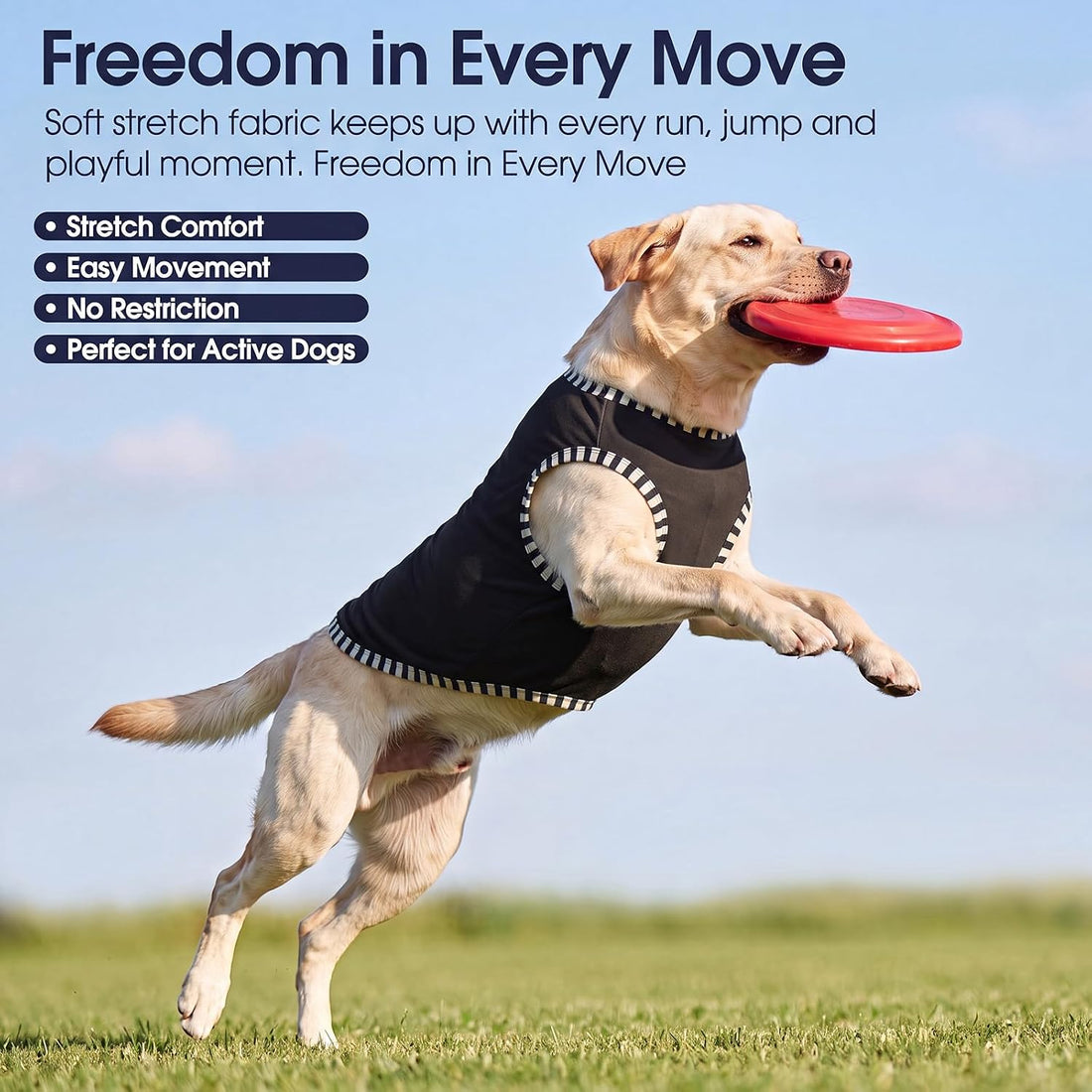 IECOii 2 Pack Dog Surgery Recovery Shirt Sleeveless Lightweight Dog