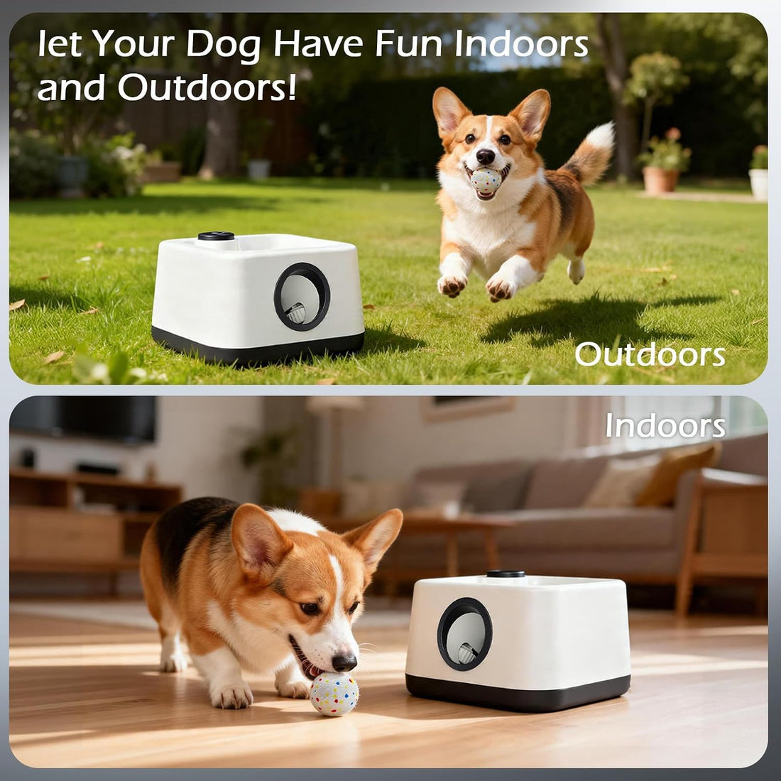 Automatic Dog Ball Launcher, Auto & Manual Dual Mode Dog Ball Thrower