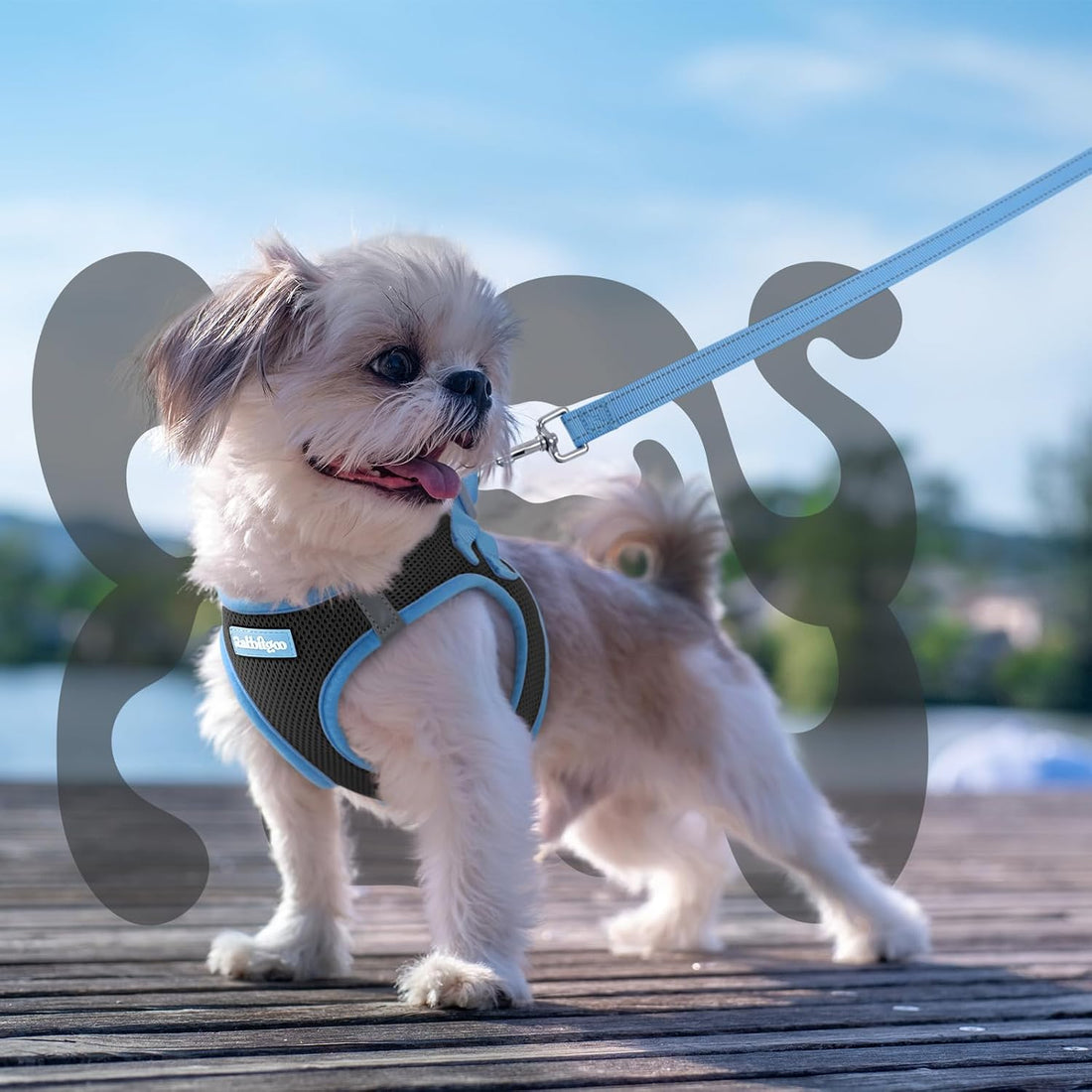 rabbitgoo Dog Harness Small Sized and Leash Set, Step in Soft Vest