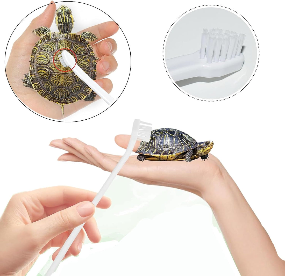 2 Pack Turtle Brush with Suction Cup