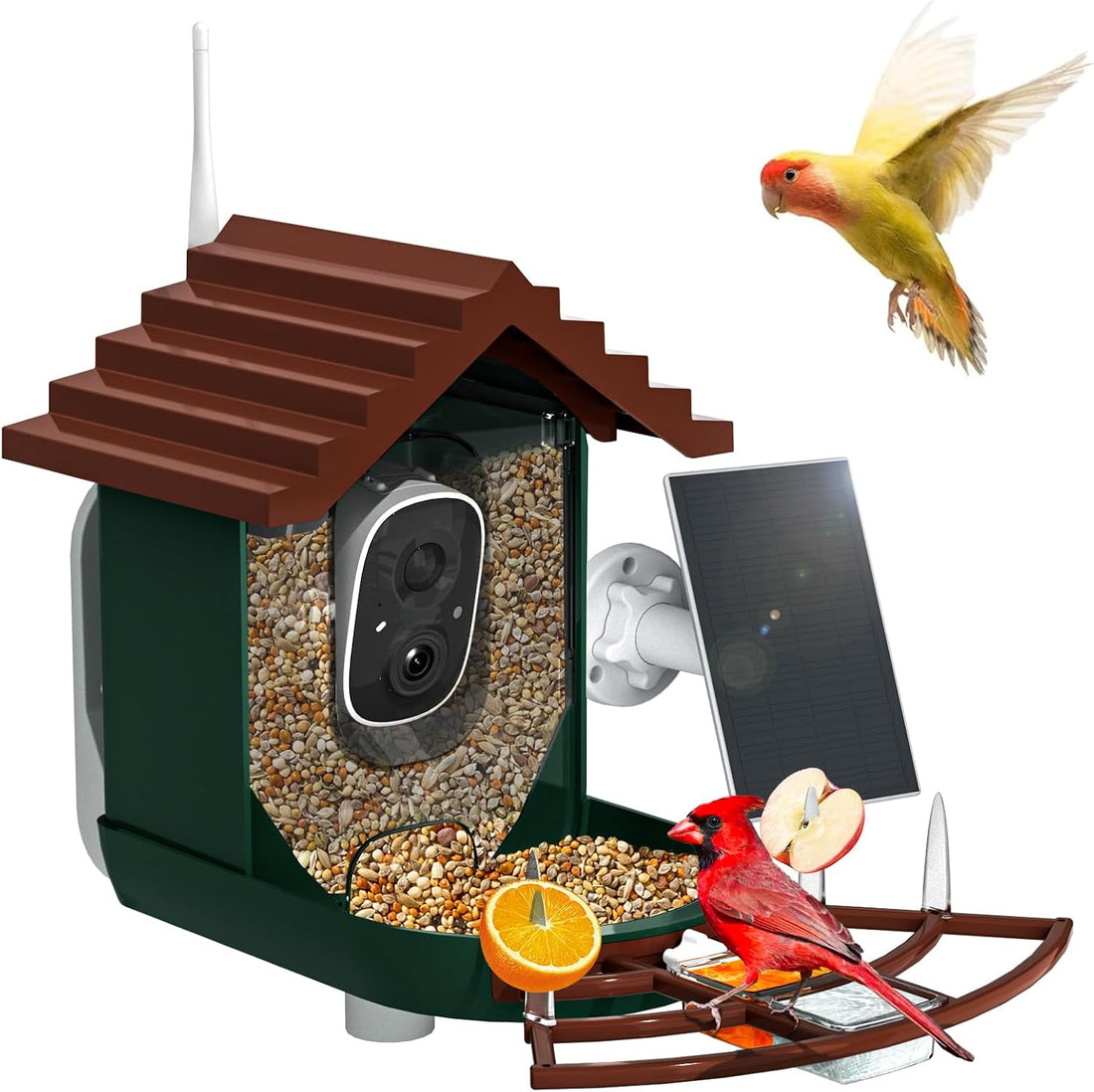 NAVFS Smart Bird Feeder with Camera Solar Powered & AI Bi rd