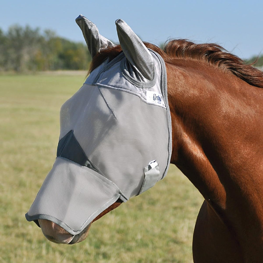 Cashel Crusader Mule Fly Mask, Standard with Ears