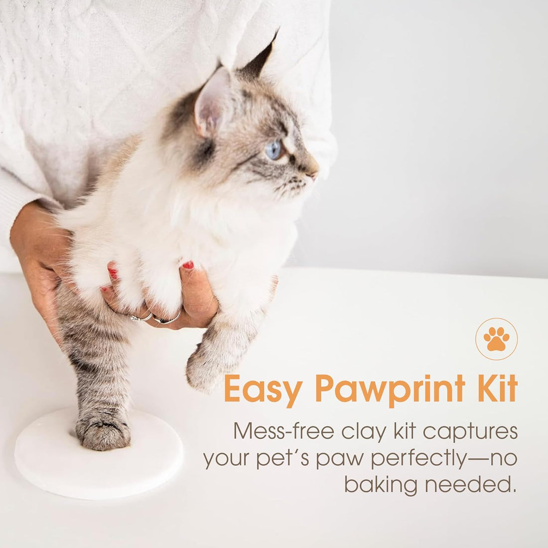 Pearhead Pet Paw Print Photo Frame With Clay Imprint Kit