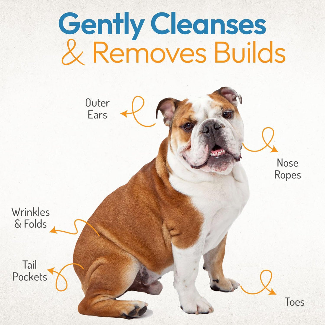 Bulldog Wrinkle Wipes for Dogs