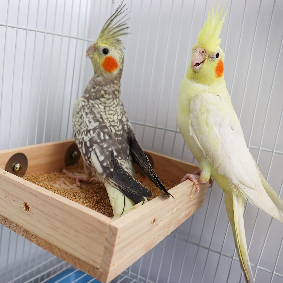 Bird Feeding Cups, Natural Wooden Parrot Perch Stand, Birds Food Dish