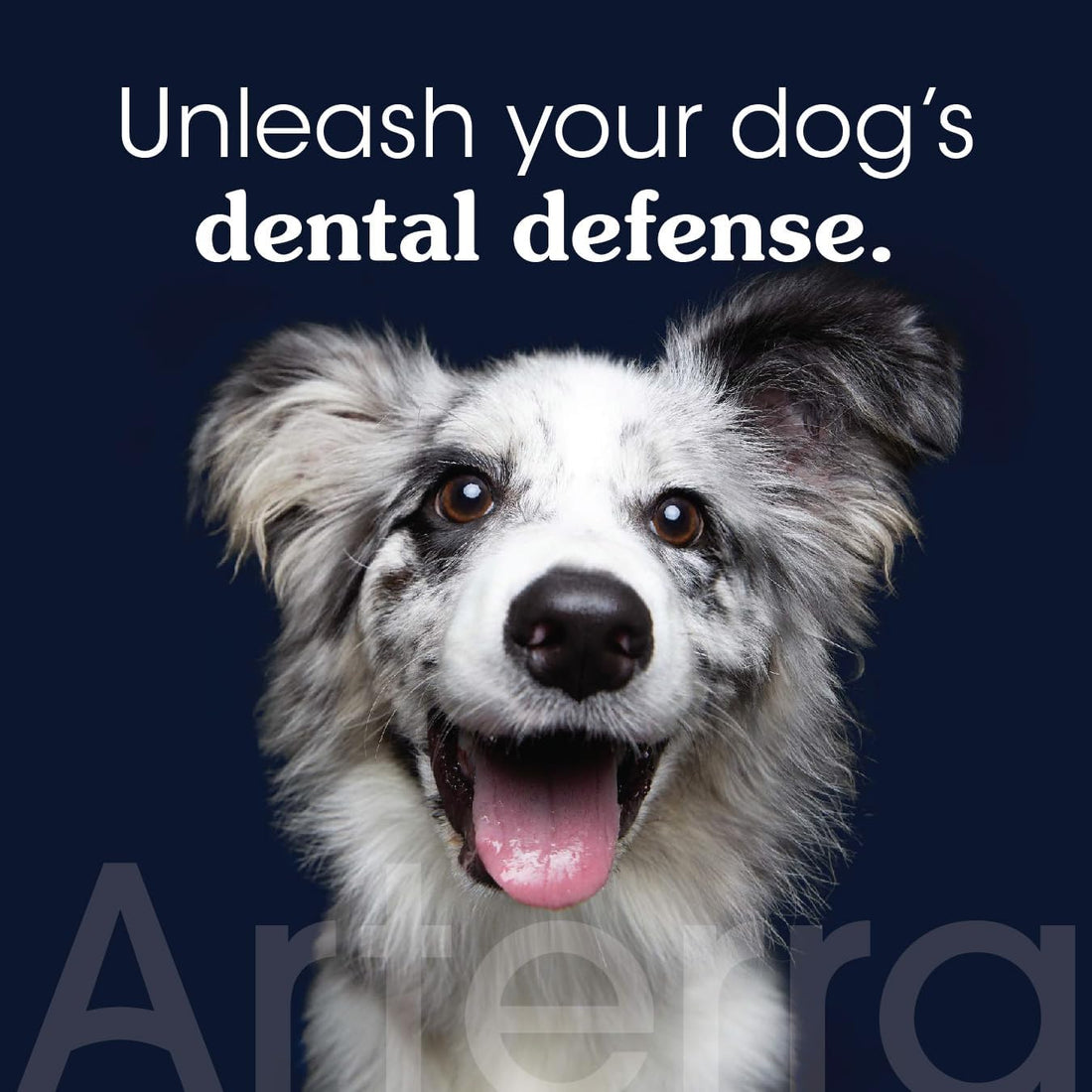 Remineralizing Dog Toothpaste – Vet-Grade, with Nano-Hydroxyapatite
