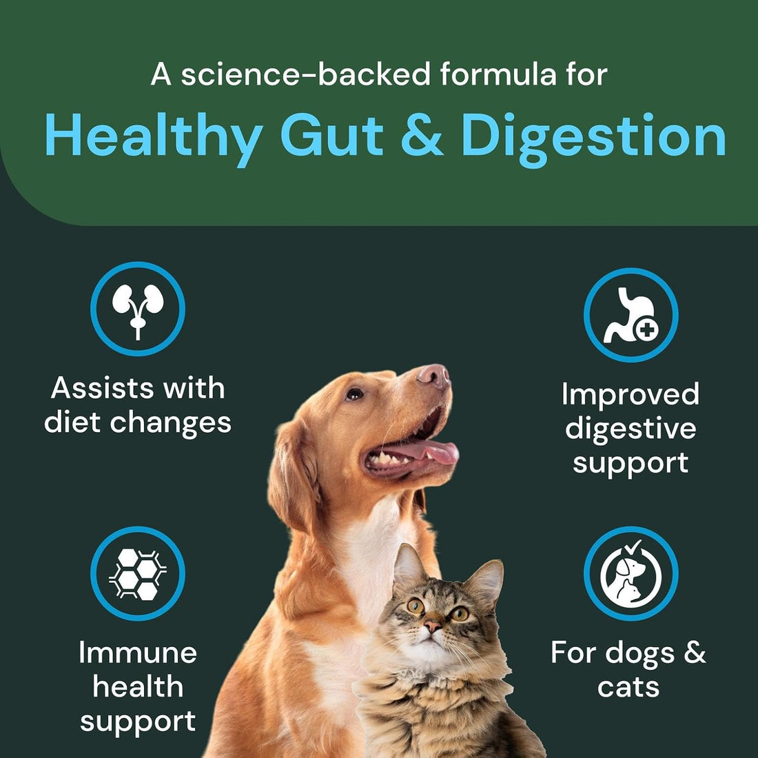 VetriScience Veterinary Strength Healthy Gut & Digestion, 60 Count