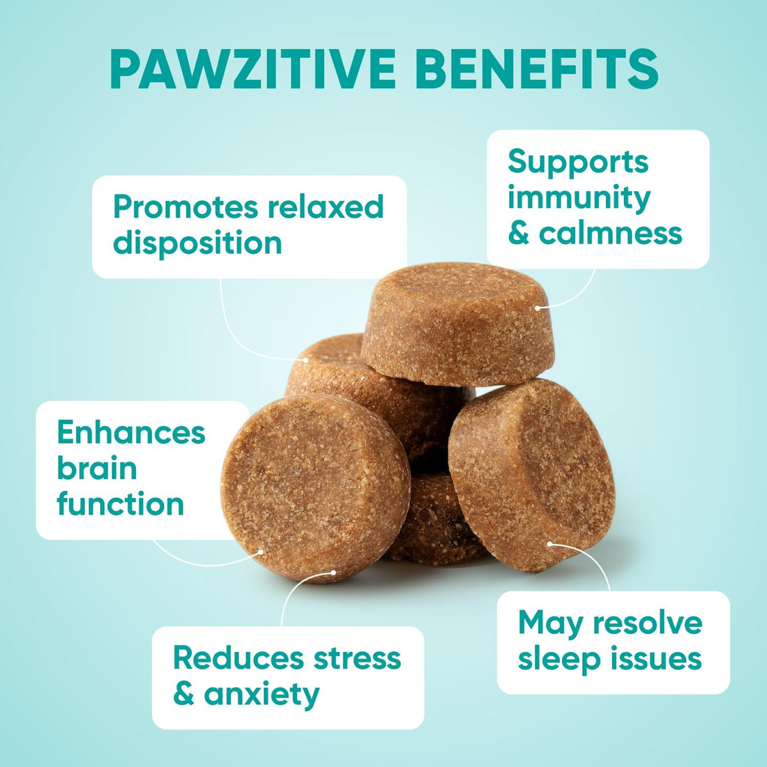 Hemp Calming Chews for Dogs - Dog Calming Chews for Anxiety Relief