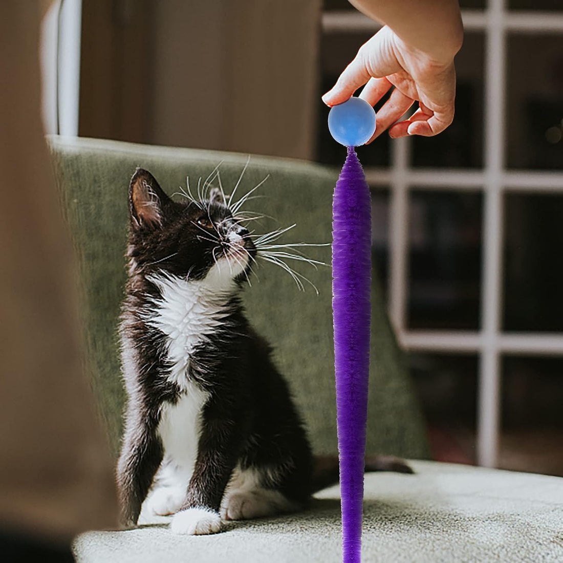 SHENGSEN Bouncy Ball with Tail Cat Toys-5 Packs