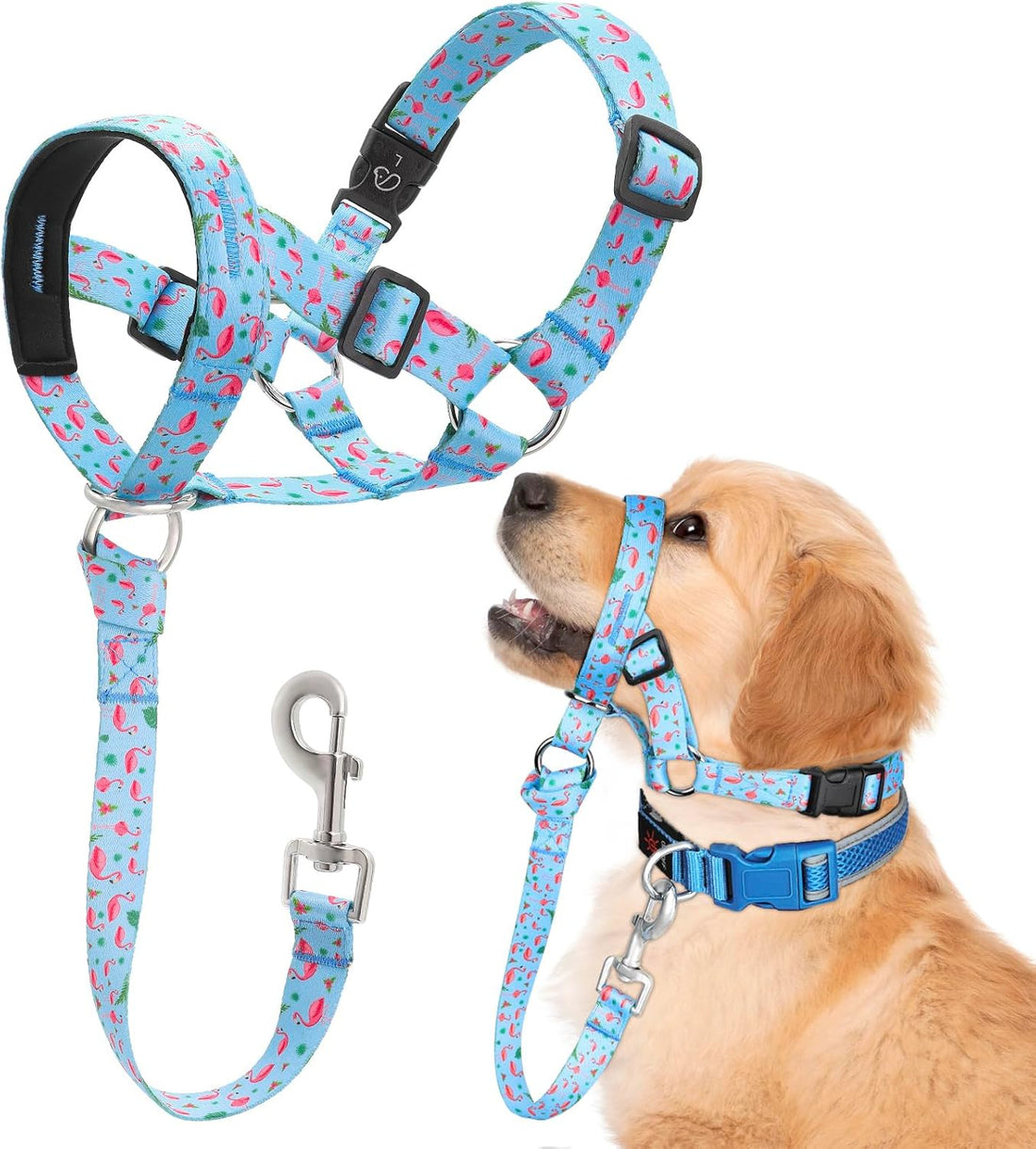 Dog Head Collar, Printed No-Pull Headcollar