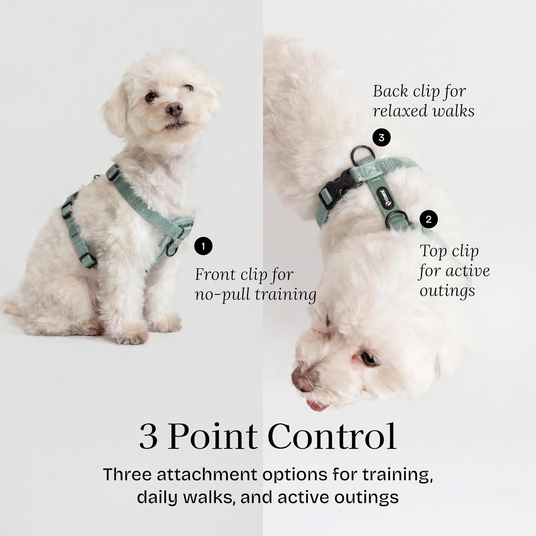 Fei & Eve Moxie Dog Harness for Small & Medium Dogs