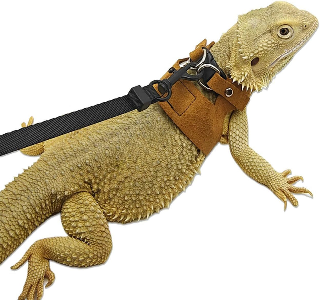 Soft Adjustable Bearded Dragon Harness with Leash
