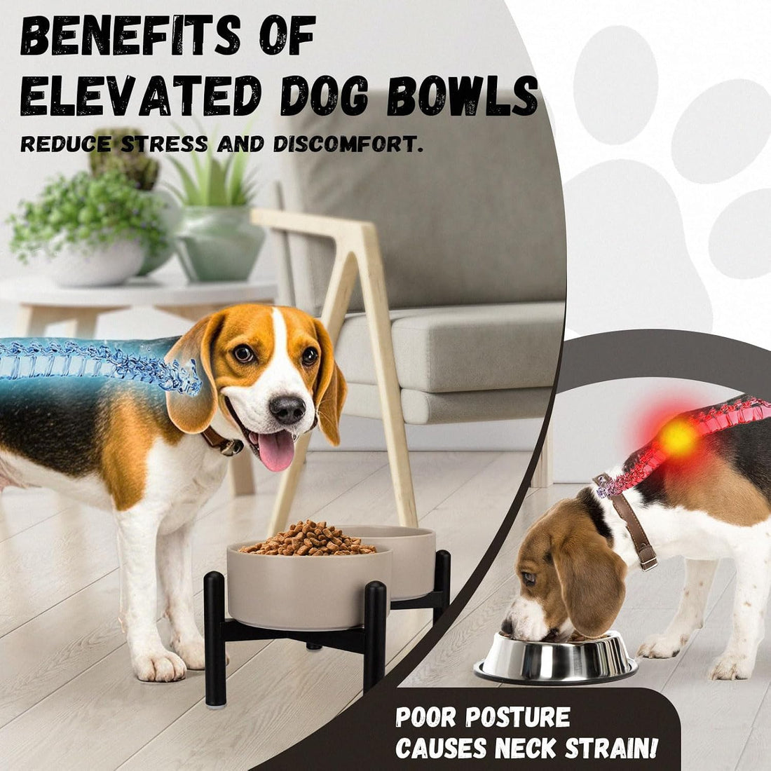 Raised Ceramic Dog Bowl Set - Elevated Double Dishes with Stainless