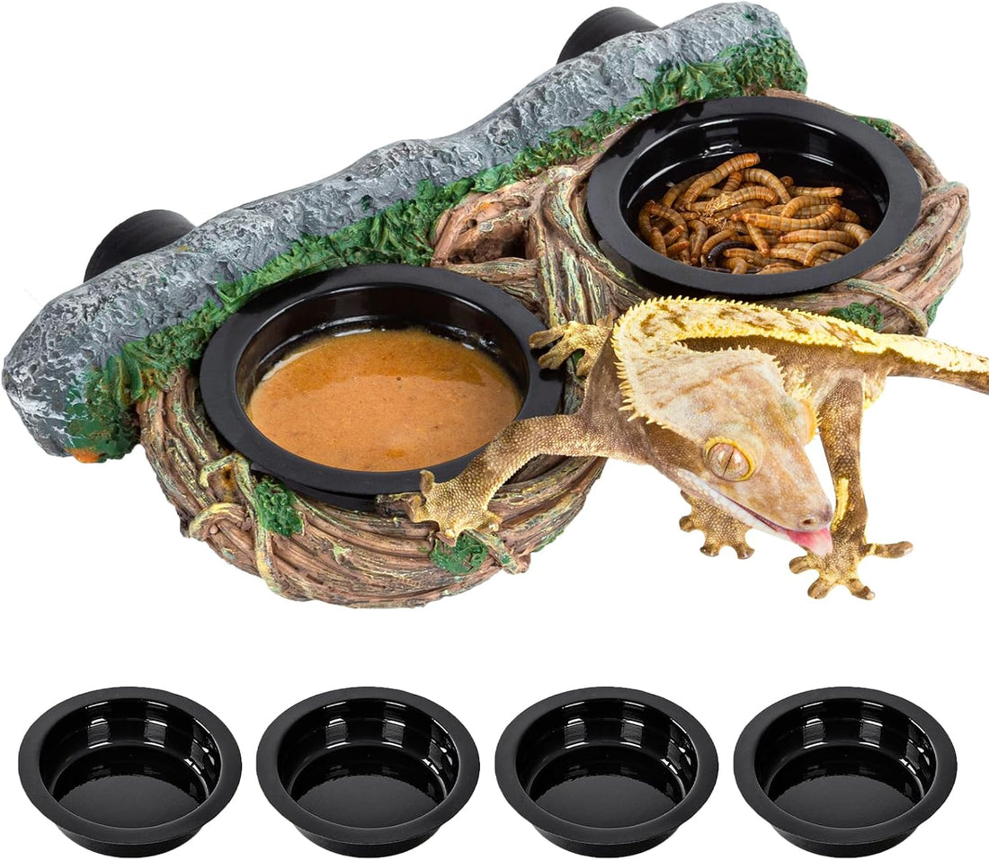 REPTI ZOO Magnetic Reptile Feeding Ledge