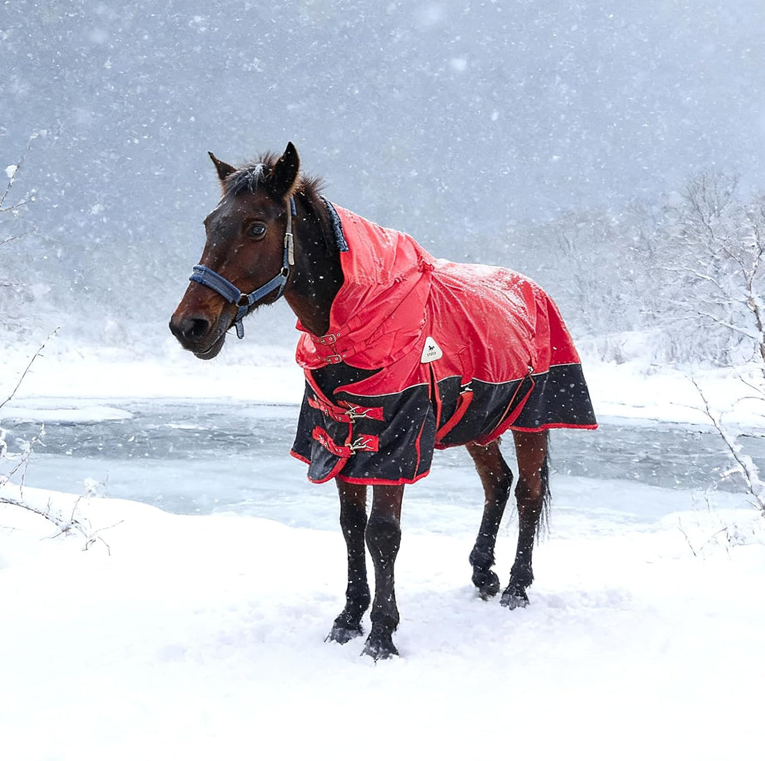Horse Blankets Winter for Real Horses