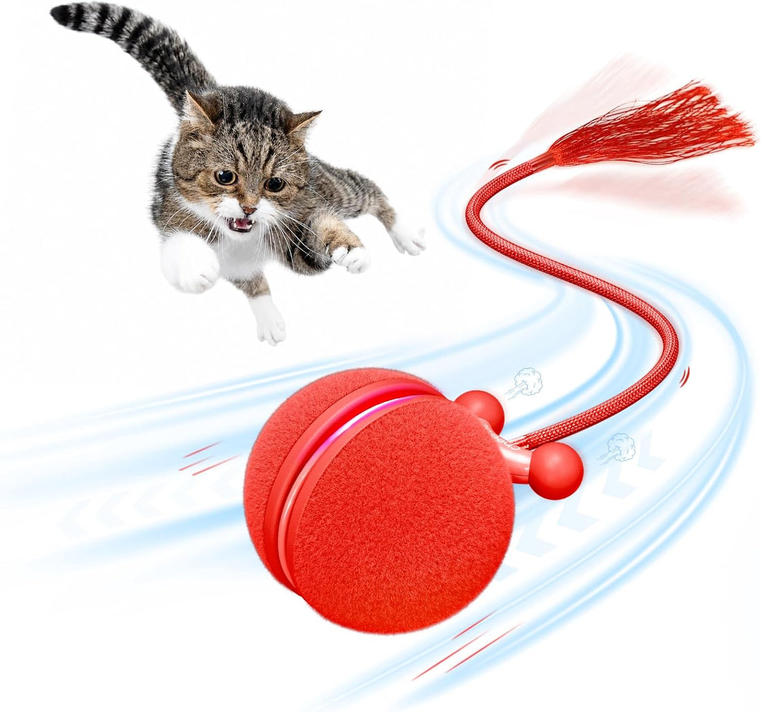 Cheerble Interactive Cat Toy Ball
