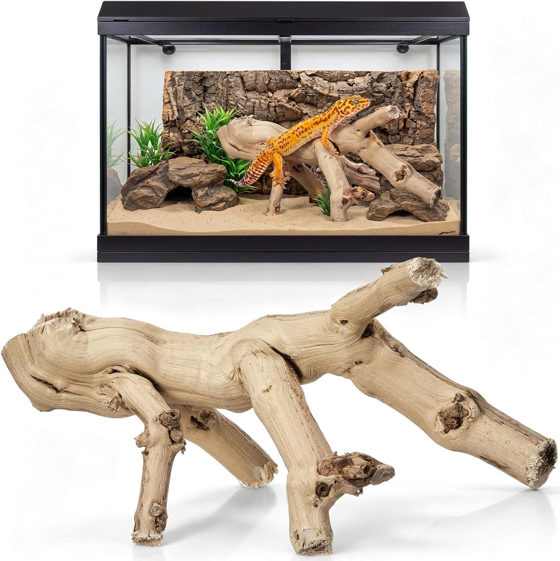 Janinka 14-17" Large Reptile Driftwood Branch for Bearded Dragon Gecko