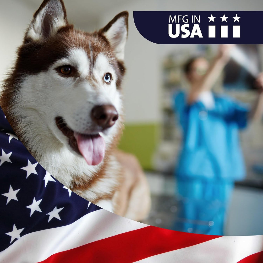 VetWELL Dog Ear Cleaner Solution & Infection Treatment for Dogs & Cats