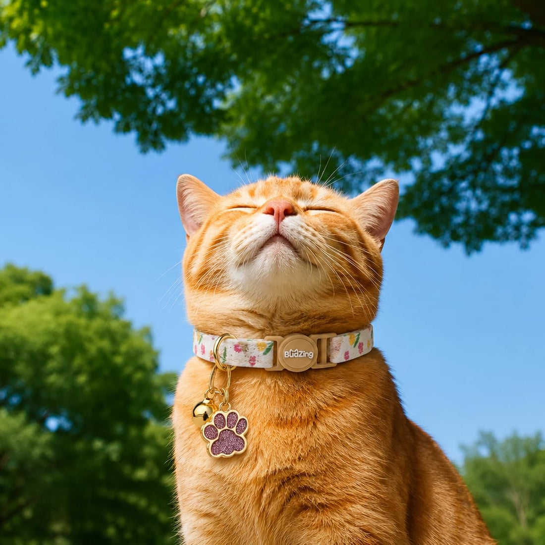 2 Pack Cotton Cat Collar Cute Kitten Collar White Puppy and Orange