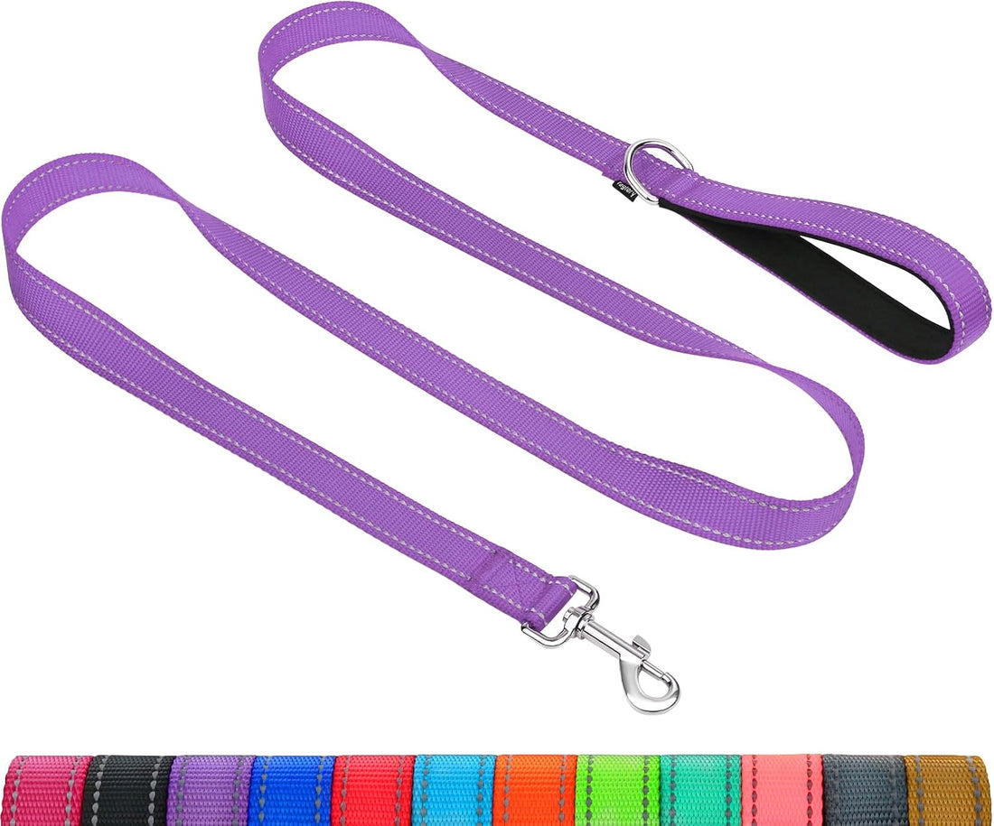 Taglory Reflective Dog Leash for Small Dogs, 3/4in x 4ft