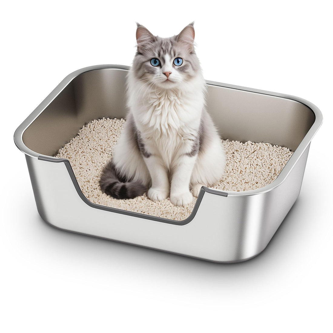 Qiuma Stainless Steel Cat Litter Box with Low Entry