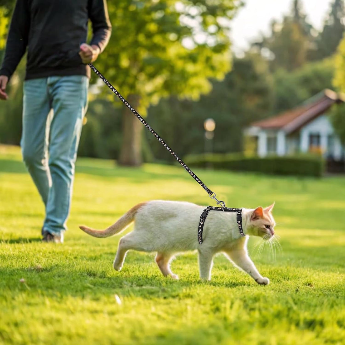 PAWCHIE Cat Harness with Leash and Collar Set