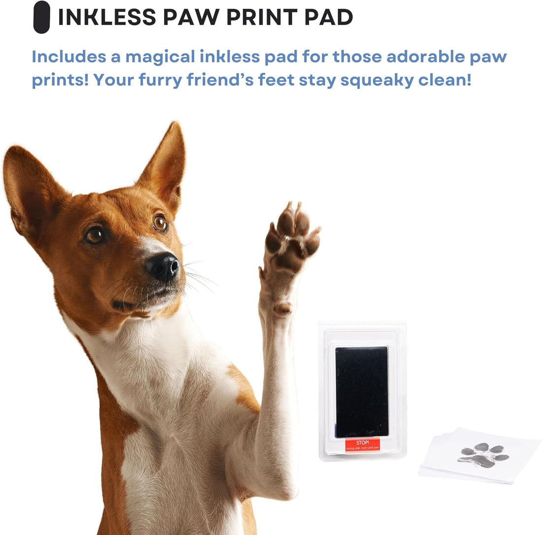 OtterPets Paw Print Kit for Dogs 9x9, 4 customizable displays