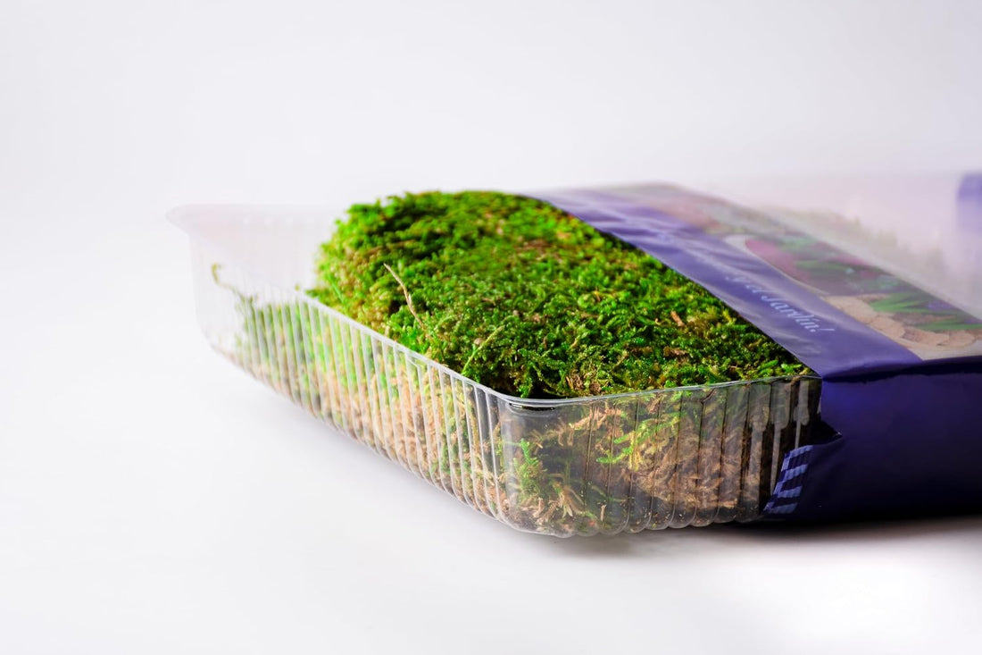 SuperMoss (21511) Sheet Moss, 175 cu in, Preserved