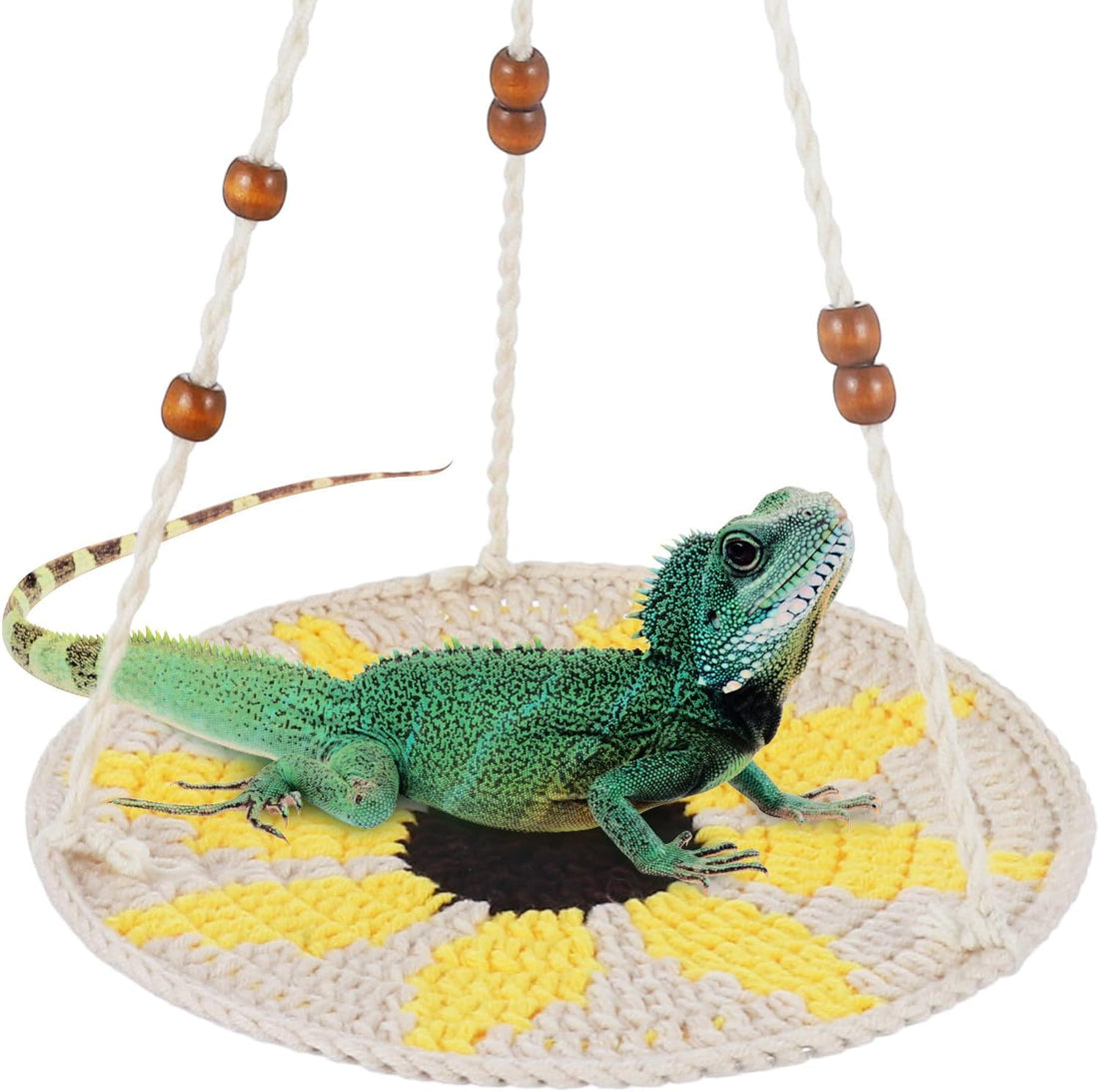 Jspupifip Reptile Hammock Bearded Dragon Accessories Reptile Summer