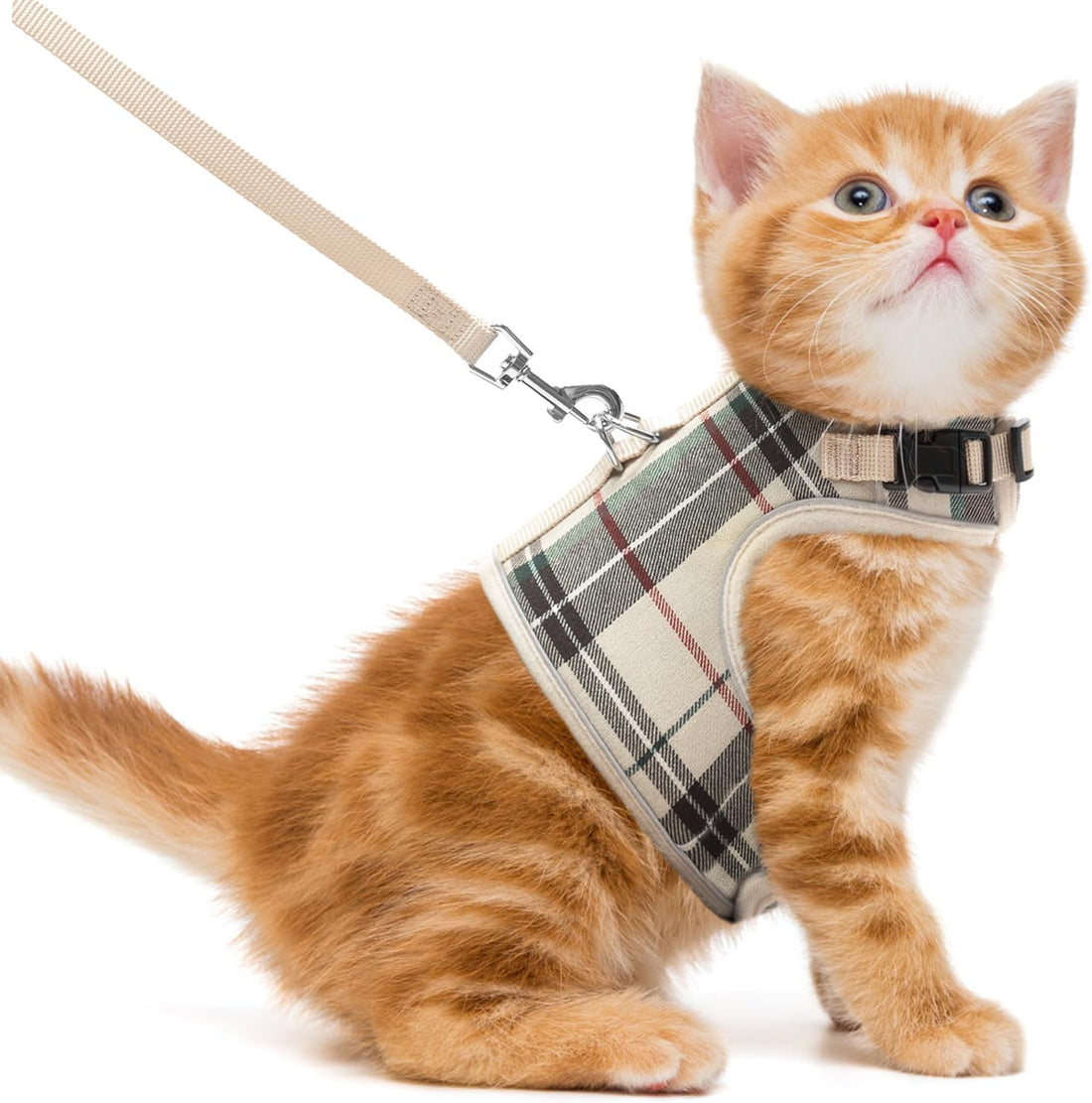 PUPTECK Soft Mesh Cat Vest Harness and Leash Set Puppy Padded Pet
