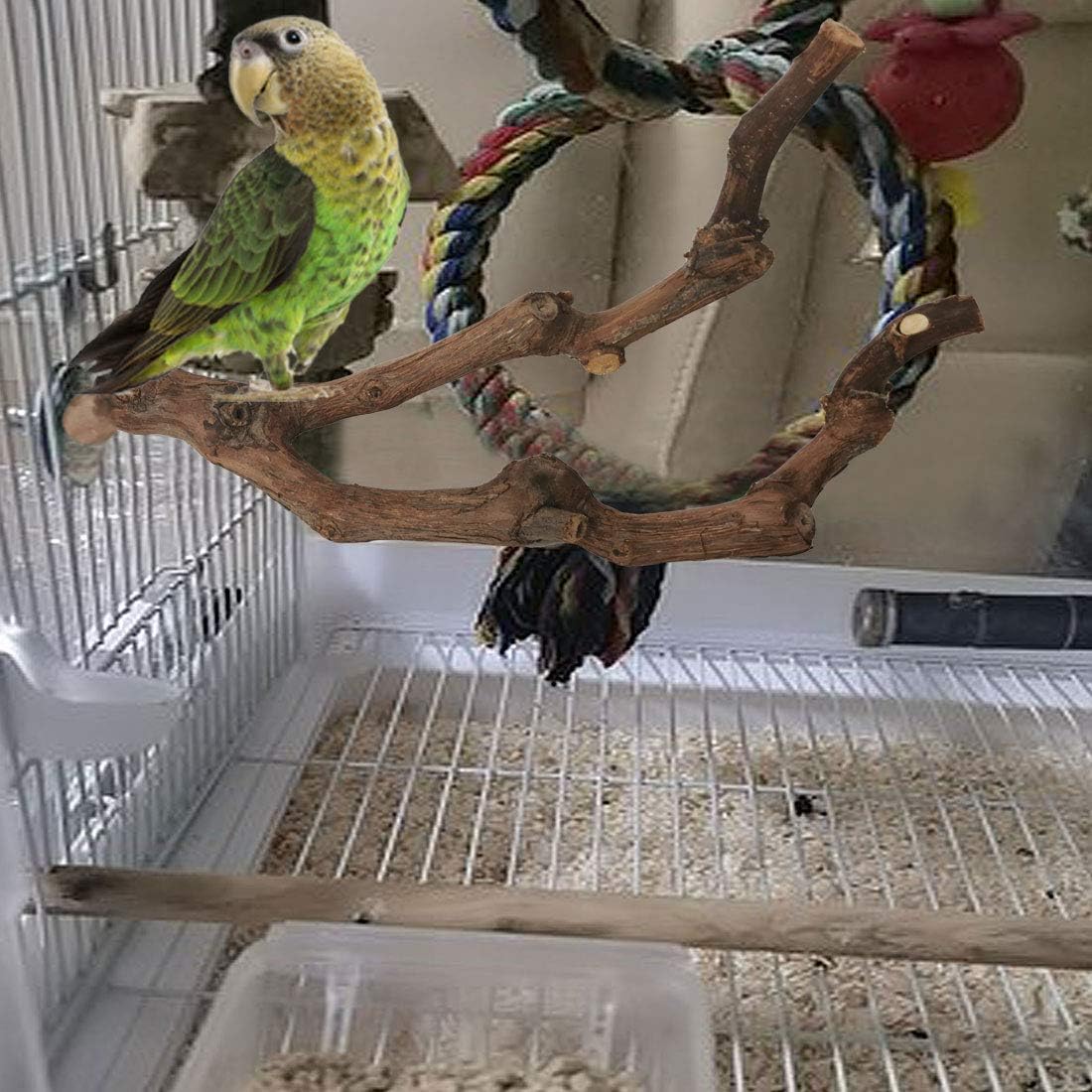 kathson Natural Parrot Perch Bird Stand Pole Wild Grape Stick Paw