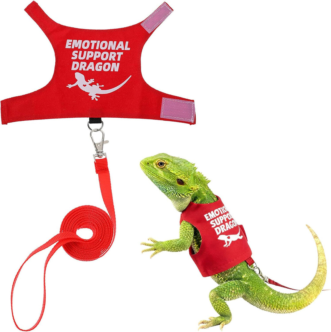 Bearded Dragon Harness and Leash Set Adjustable Lizard Harness