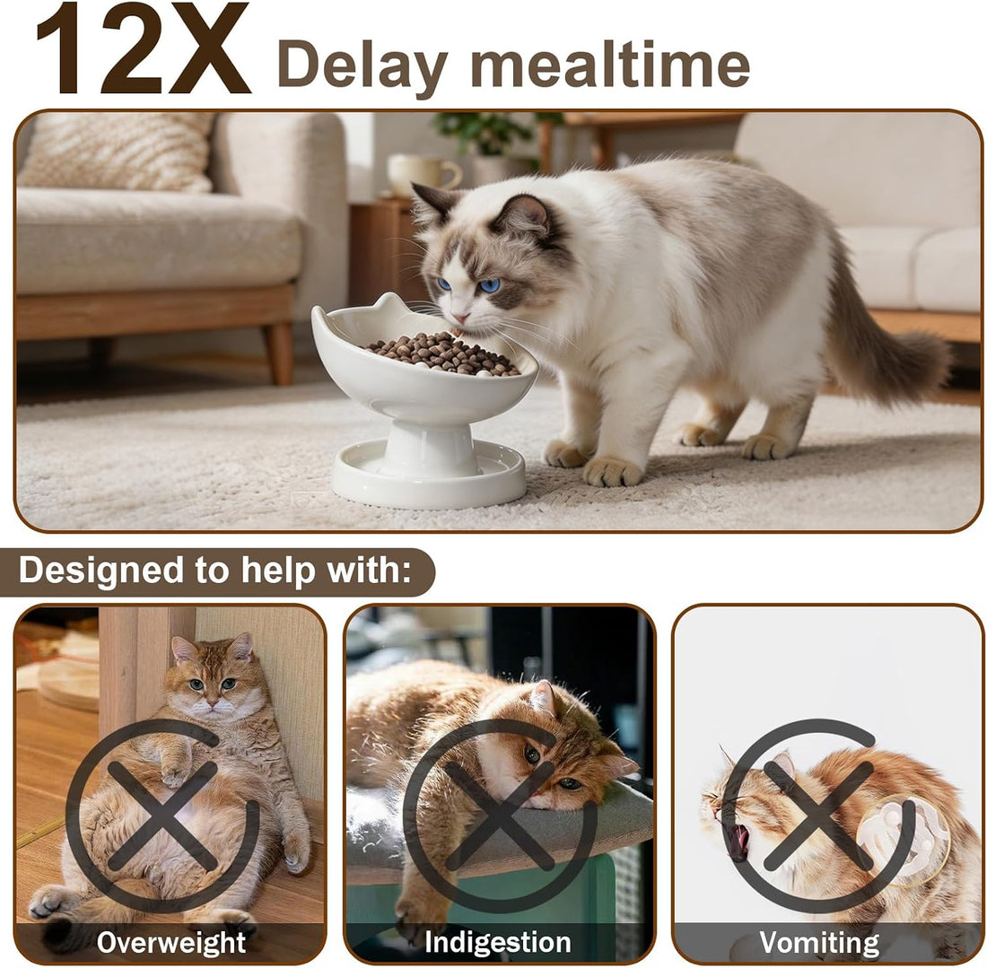 Raised Slow Feeder Cat Bowl, Ceramic 15° Tilted Cat Bowl