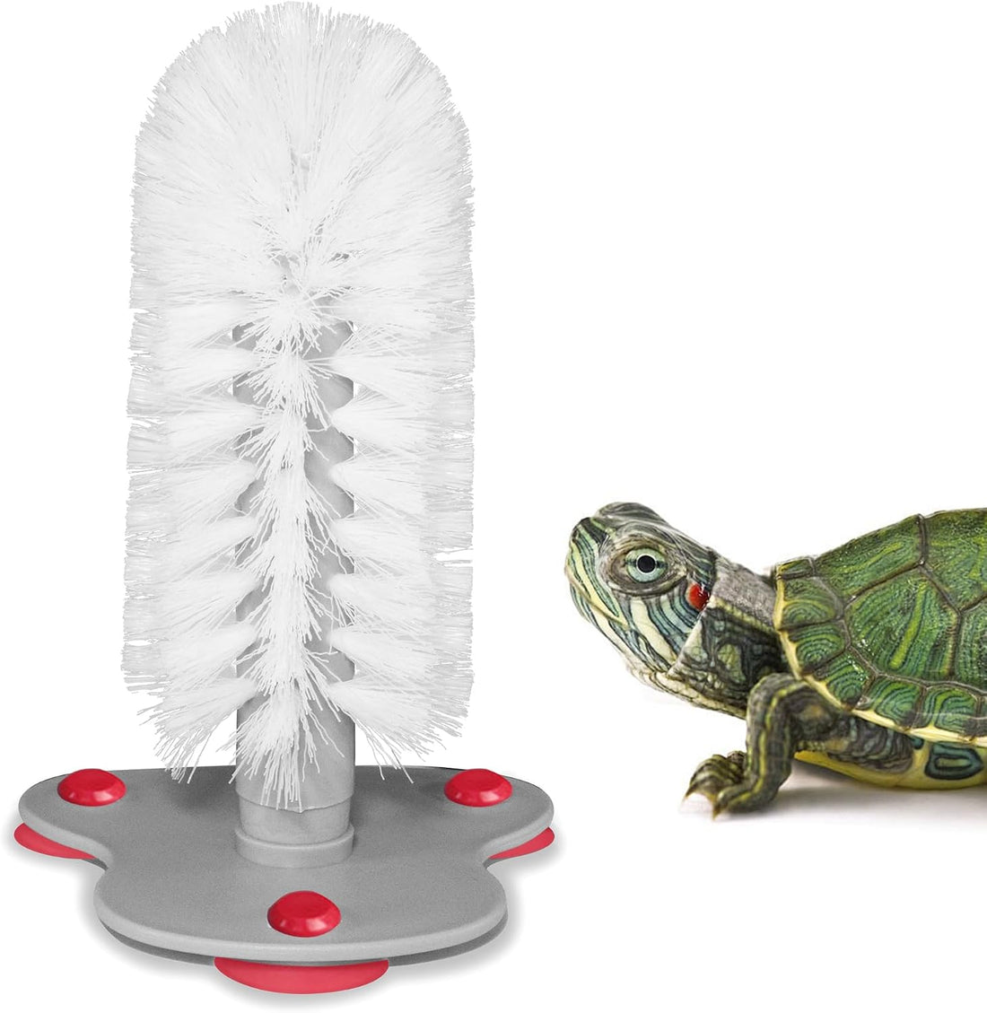 Turtle Brush with Suction Cup, Aquatic Turtle Tank Accessories