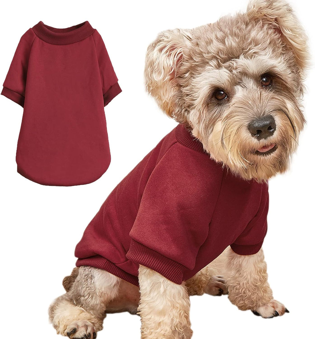 Soft Puppy Sweater for Small Dogs Winter Knit Pullover, Blue S