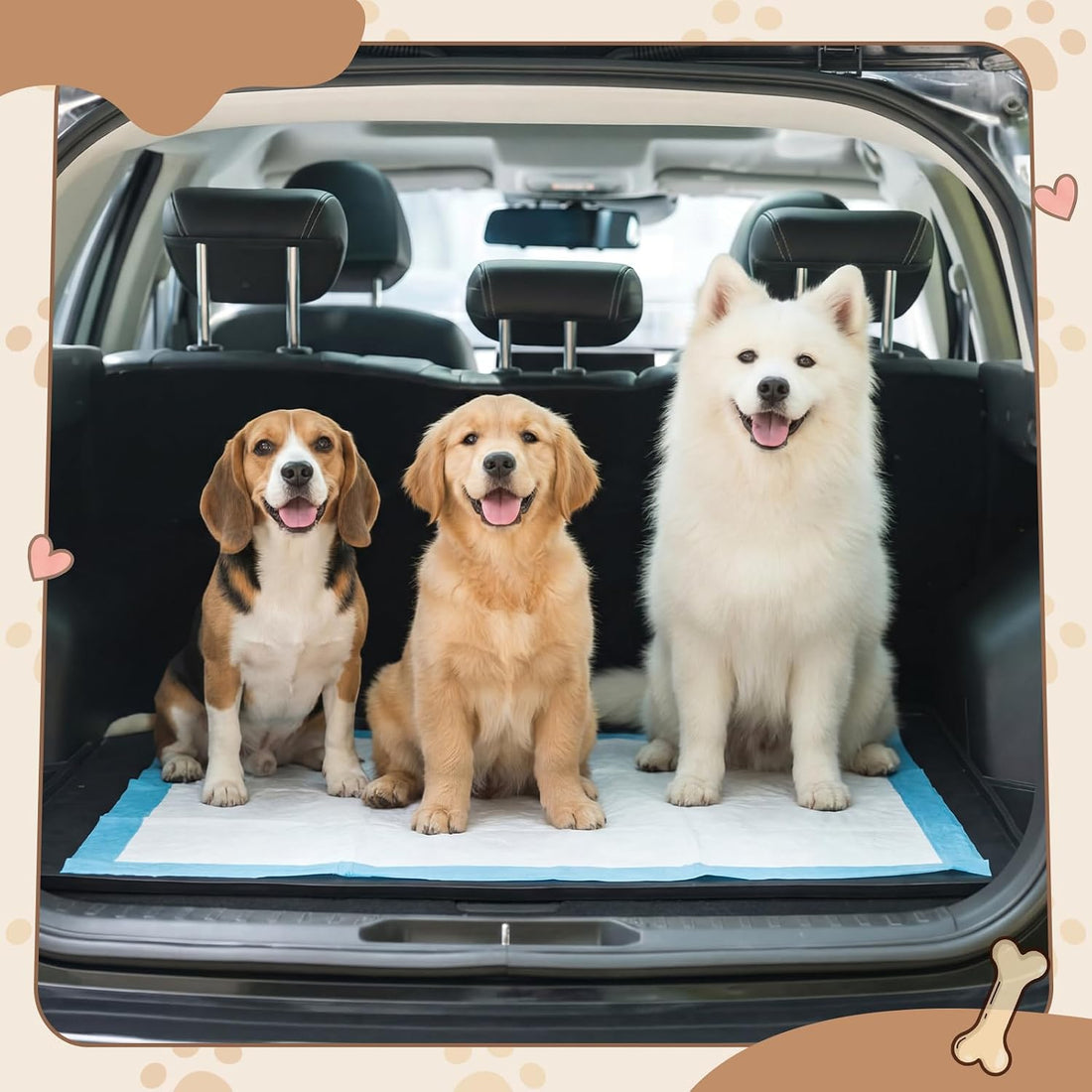 Dunzy 50" x 30" Silicone Pee Pad Holder Tray Extra Large Puppy Pee