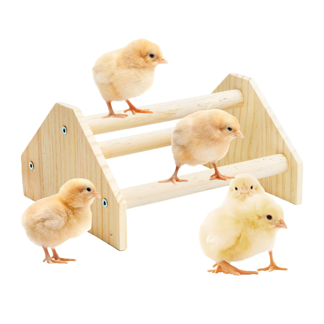 YLSURNY Baby Chicken Perch Strong Pine Wooden Chick Jungle Gym