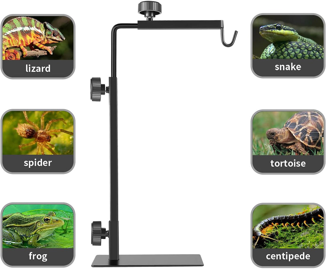 Reptile Heat Lamp Stand, Adjustable 16"- 31" H