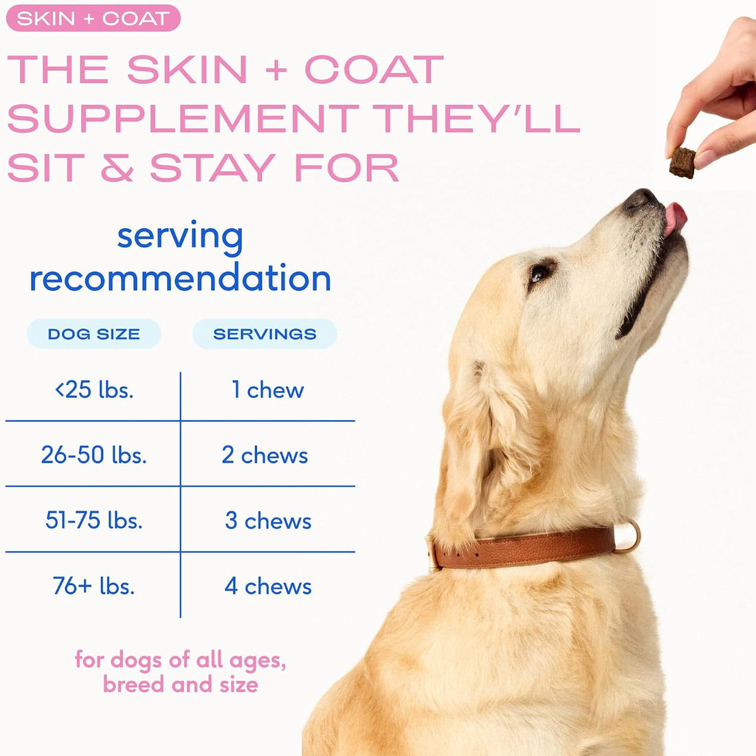 Native Pet Skin & Coat Chews