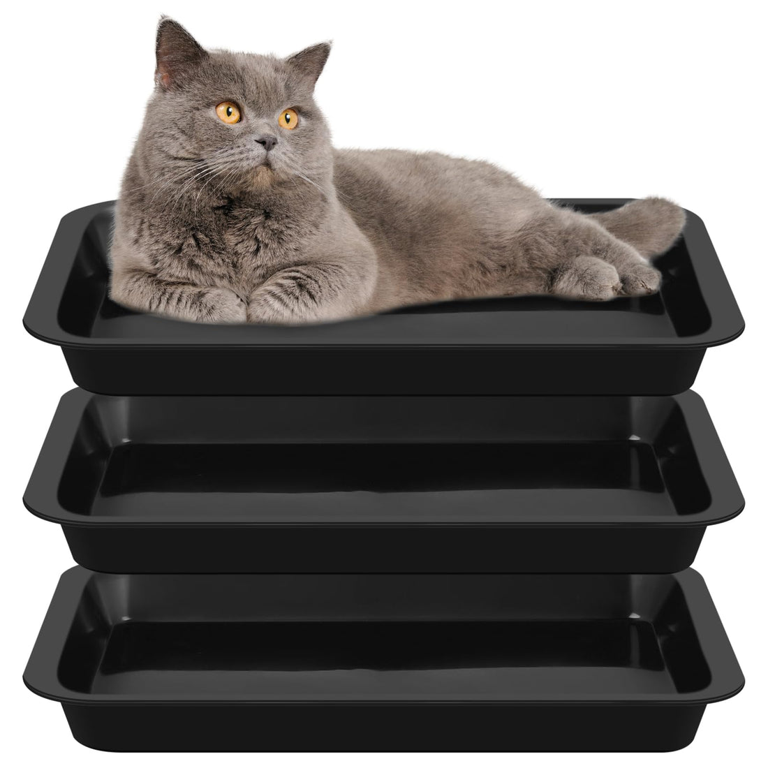 Tessco for you 3 Pcs Kitten Litter Box Shallow Low Entry Open Cat