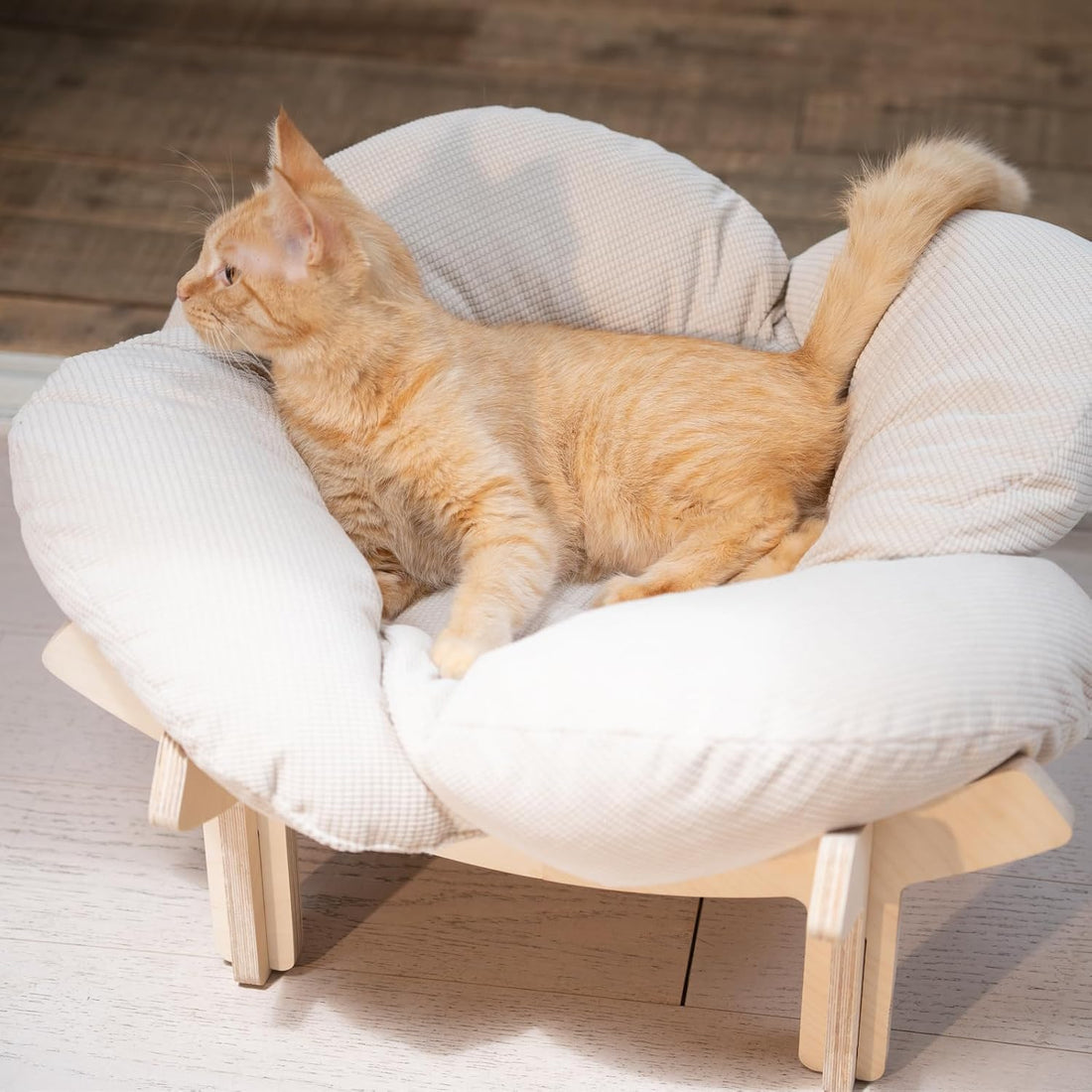 CHEERHOME PETS Elevated Cat Bed for Indoor Cats Couch Sofa Flower